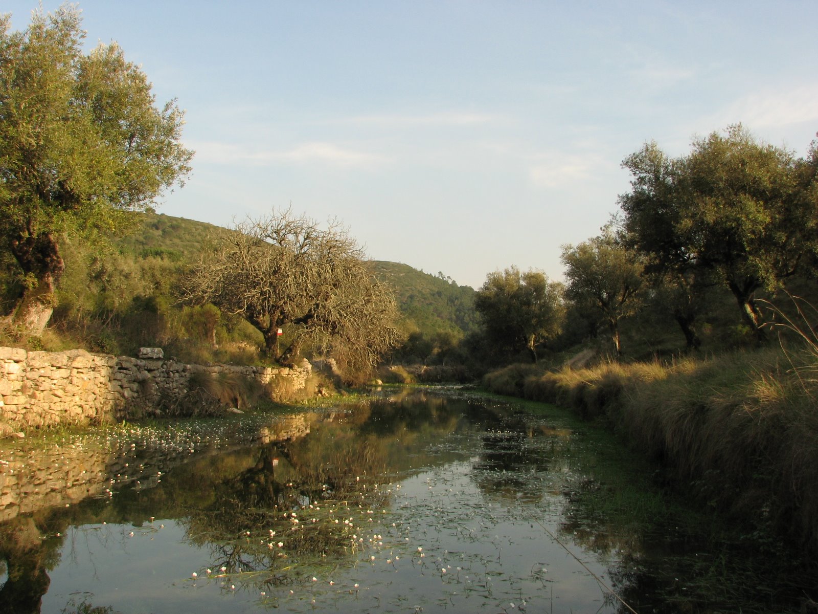 [IMG_6386[1]]